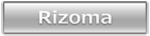 RIZOMA/リゾマ