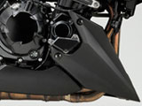 エンジンプロテクション　　Z1000