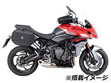 Tiger Sport 660カスタムパーツ