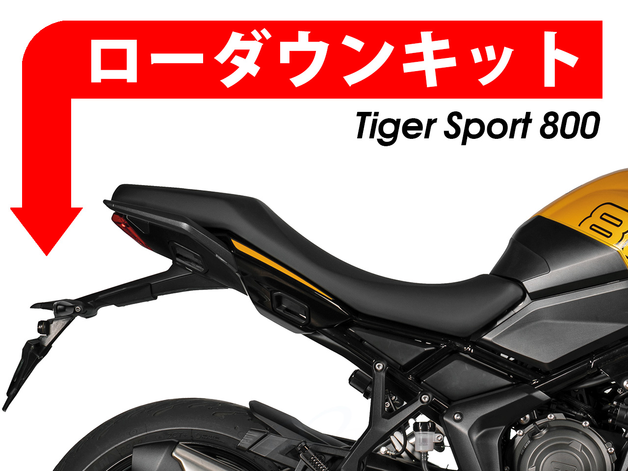 ローダウンキット for Triumph