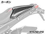 カーボン タンデムシート フェアリング R1300R カスタム パーツ