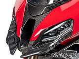 カーボンフロントエアインテーク M1000XR カスタム パーツ