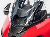 カーボンウインドプロテクターインストゥルメント M1000XR カスタム パーツ