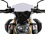 ワンダーリッヒ スポーツロースクリーン R1200R LC('15-)