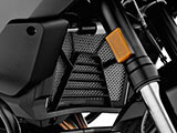 ウォータークーラーガード ｢Extreme｣ F900R カスタム パーツ