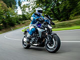クラッチカバープロテクター / ウォーターポンププロテクター F800GS カスタム パーツ