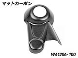 カーボンファイナルドライブカバー R12S カスタム パーツ