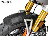 カーボンフロントフェンダー R12S カスタム パーツ