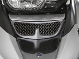 R1200GS オイルクーラーガード