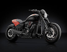 リゾマ / rizoma Harley-Davidson Softail
