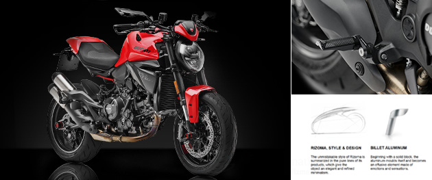 モンスター V2 / モンスター 890 リゾマ カスタムパーツ