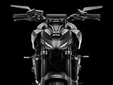 rizoma リゾマ ミラー「STEALTH NAKED / ステルス ネイキッド」 スピードトリプル 1200 RR/RS リゾマ / rizoma カスタムパーツ